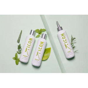 I.C.O.N. DETOX rinkinys 2+1