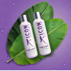  I.C.O.N. PURE LIGHT geltonumą neutrolizuojantis rinkinys