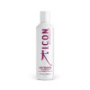 I.C.O.N. ANTIDOTE antioksidacinis nenuplaunamas kremas, 250ml