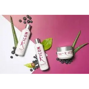 I.C.O.N. ANTIOXIDANTS maitinantis rinkinys