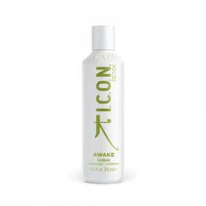 I.C.O.N. AWAKE detoksikuojantis kondicionierius, 250ml